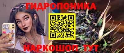 ПСИЛОЦИБИНОВЫЕ ГРИБЫ Можга