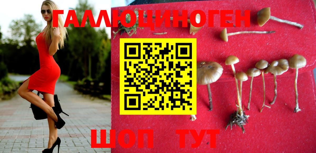 сколько стоит  Вход с VPN  Вязьма  Псилоцибиновые грибы Magic Shrooms  Галлюциногенные грибы MAGIC MUSHROOMS 